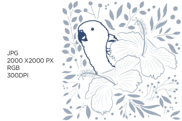 Exploring the Versatility of PARROT and JPG in Digital Graphics