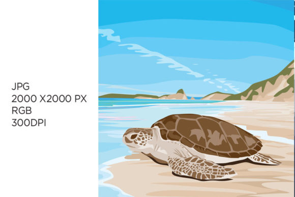 Sea Turtle and JPG: A Creative Fusion for Digital Art and Design