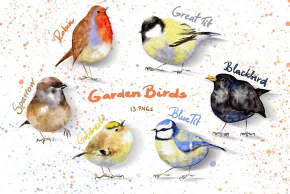 Watercolor Procreate Garden Birds Set